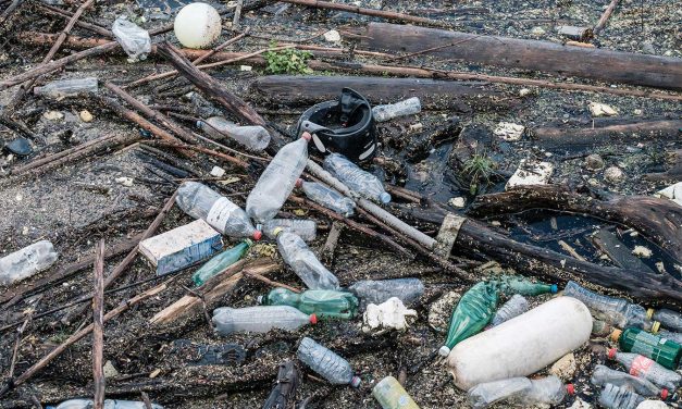 A Million People a Year Dying of Plastic Waste