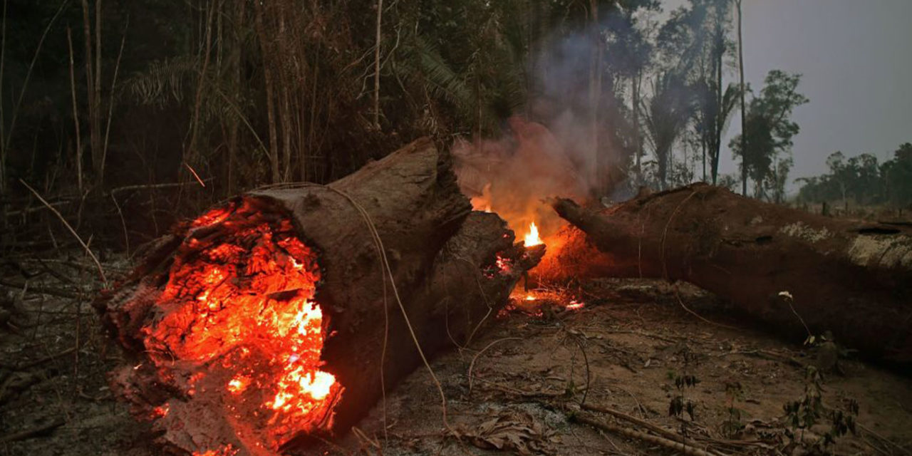 International leaders condemn Bolsonaro for letting Amazon Burn