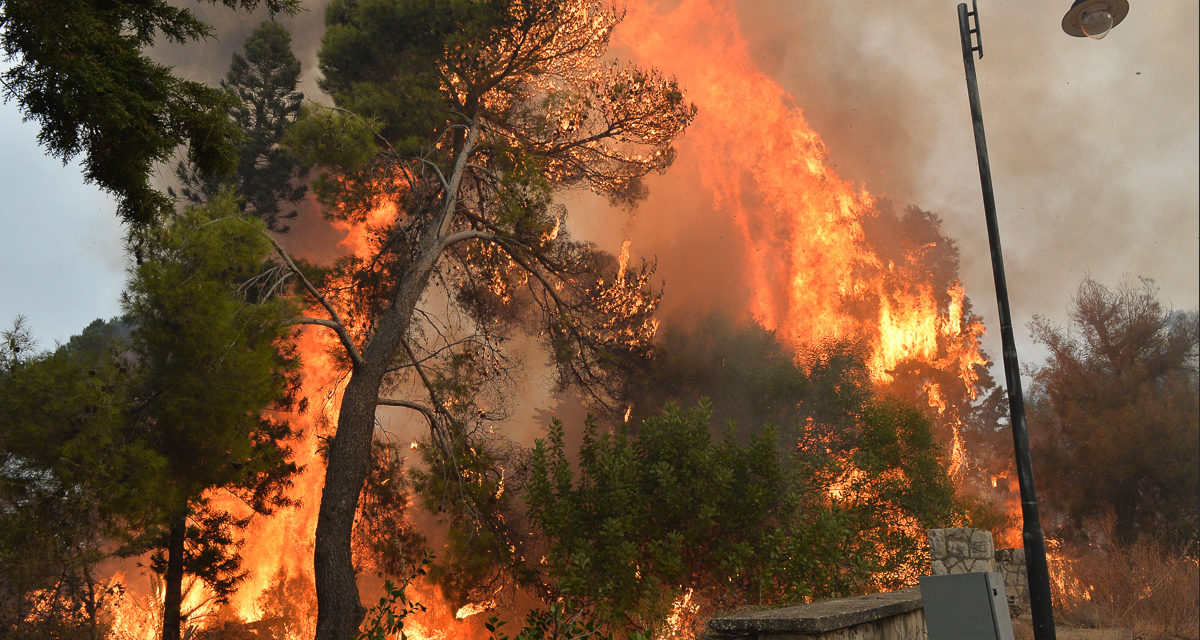 Lebanon Witnesses Worst Wildfires in Decades