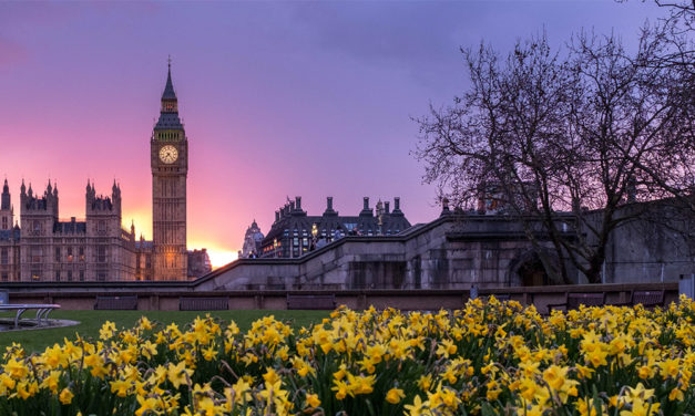 UK Government to Present ‘Groundbreaking’ Environment Bill