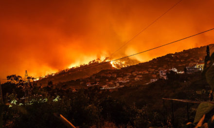 San Bernardino Evacuated as the Former Californian Governor Says Technology Can Stop Fires