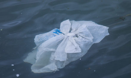 Why is Plastic Pollution a Pressing Environmental Issue?