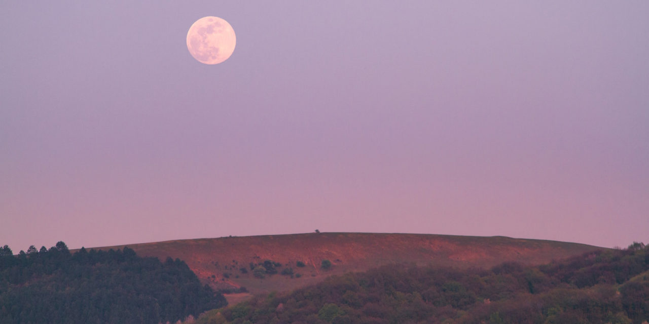 A Super Pink Moon Occurred – and It Was Amazing!
