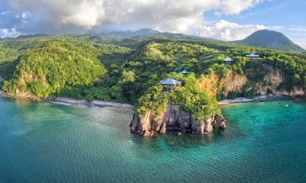 The Best 8 Day Tripping Ideas in Dominica